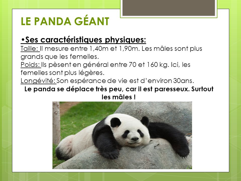 LES PANDAS Mar va Gautier. ppt video online t l charger